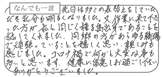 お客様の声