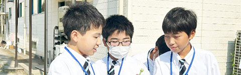 最新情報　写真
